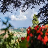 Trattoria al Giardino da Giamburesti, foto 1