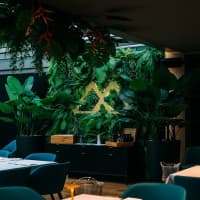 Madlén Jesolo | Restaurant - Music & More, foto 4