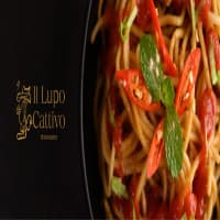 Il Lupo Cattivo, foto 1