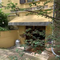 Casato Maria Clarice, foto 1