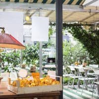 Gattò Robe e Cucina, foto 1