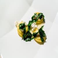 daGorini, foto 4
