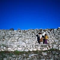 Fattoria delle Torri, foto 3