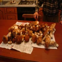 ‘L Bunet, foto 2