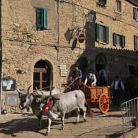 Osteria C'era una volta, foto 3