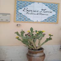 Sorsi e Morsi, foto 3