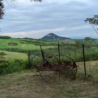 Antico Trinciatoio, foto 1