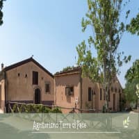 Agriturismo Terra di Pace - Ristorante Cafè De La Paix , foto 1