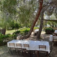 Agriturismo Terra di Pace - Ristorante Cafè De La Paix , foto 3