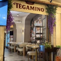TEGAMINO Campo de' Fiori, foto 3