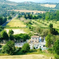 Trattoria da Paolino, foto 3