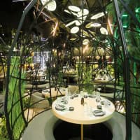Gohan Catania - Ristorante Giapponese, foto 1