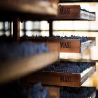 Masi Tenuta Canova, foto 3