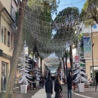 Viale Ceccarini, foto 1