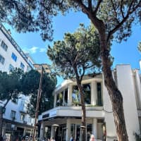 Viale Ceccarini, foto 2