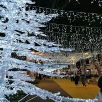 Viale Ceccarini, foto 3