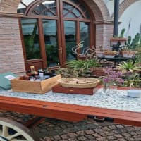 Trattoria Cattivelli, foto 3