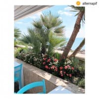 Ristorante La Barca, foto 1