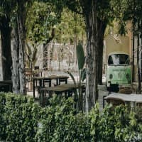 Mediterraneo Ristorante e Giardino, foto 4