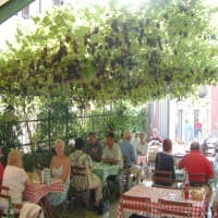 Osteria alla Rosa, foto 4
