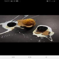CHISC DRINK AND FOOD, foto 2