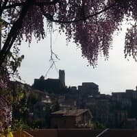 Trattoria da Carlini, foto 1