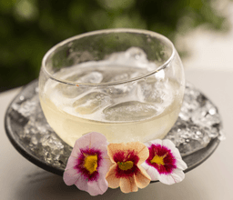 Immagine drink