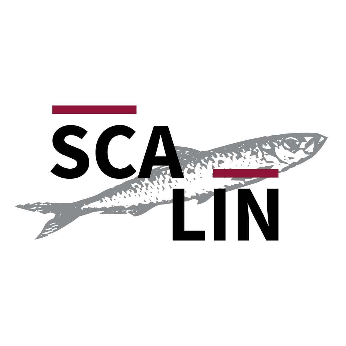Osteria Scalin - Ristorante a Verona