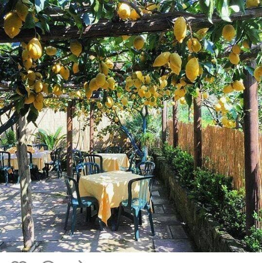 Ristorante La Pergola - Ristorante a Procida