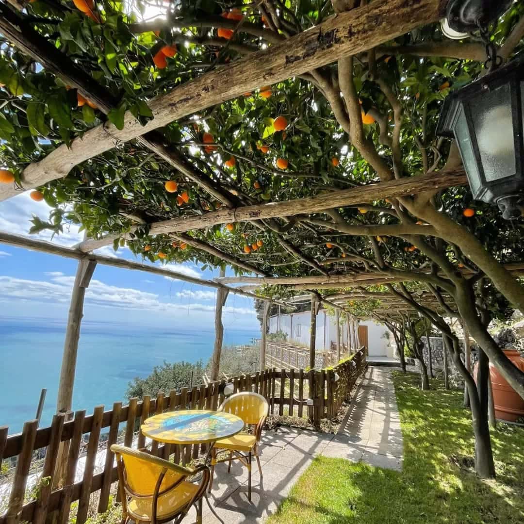 Hotel Holiday's Fico d'India - Ristorante a Furore