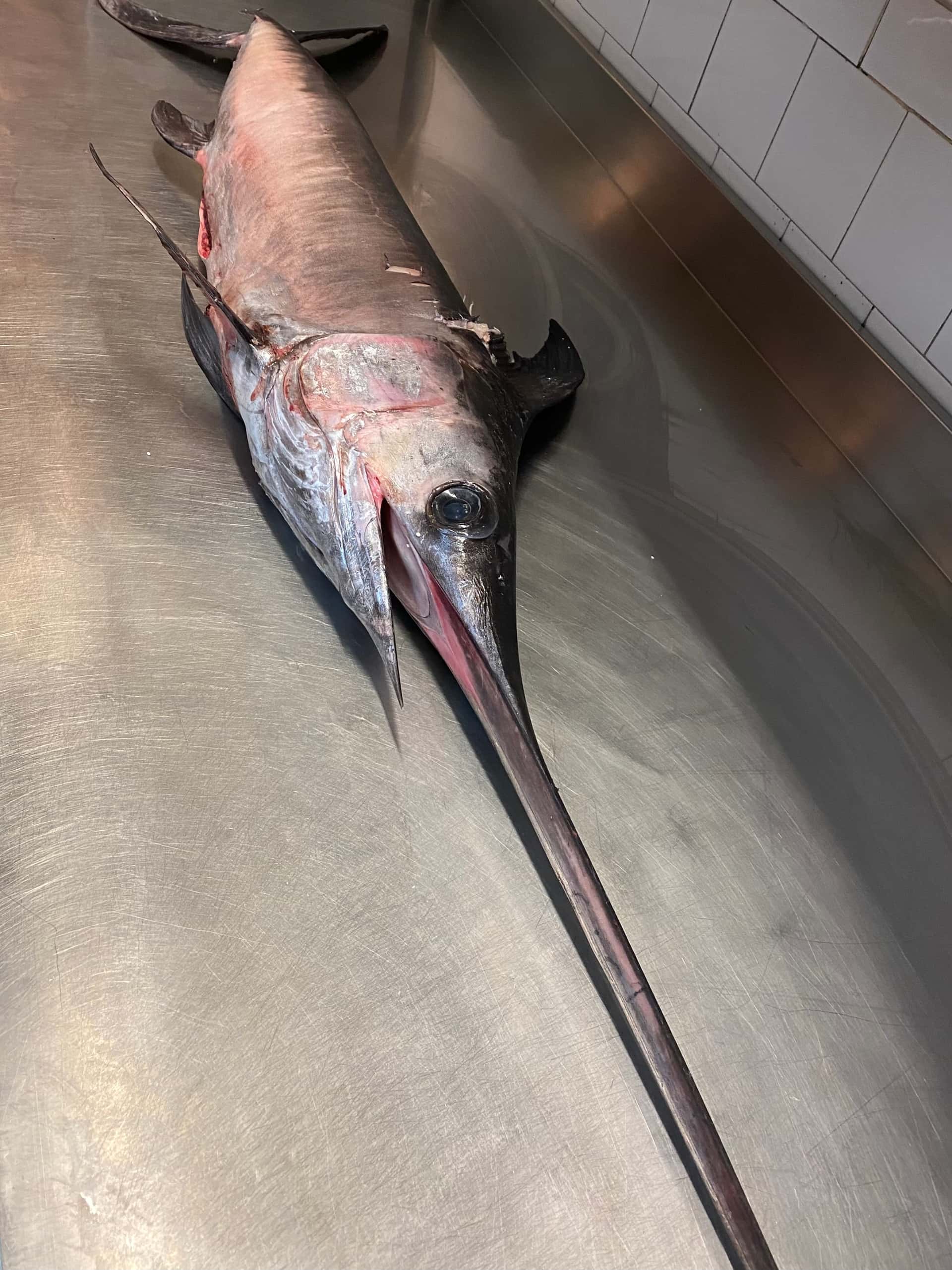 La Lampara - Ristorante a Porto Ercole