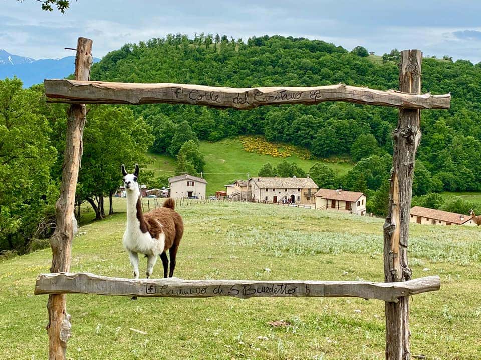 Azienda Agrituristica Colle del Capitano - Ristorante a Monteleone di Spoleto