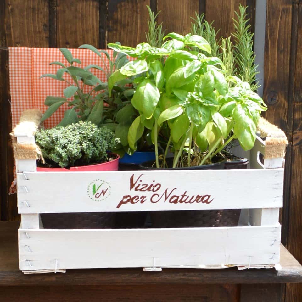 Vizio per natura - Ristorante a Milano