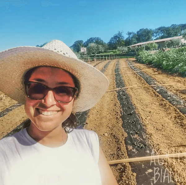 Agricola Bianconi - Ristorante a Piegaro