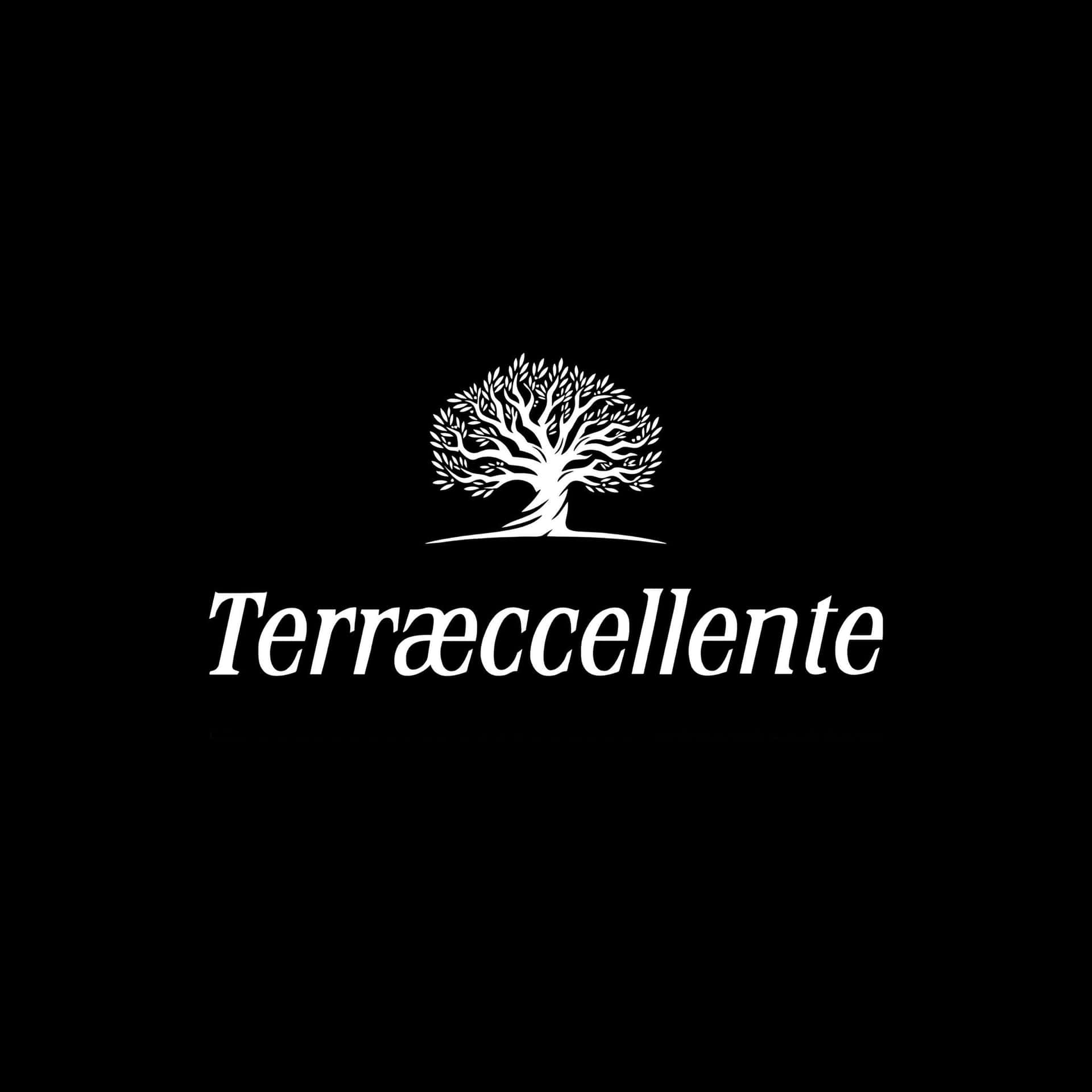 Terraeccellente Punto Vendita - Ristorante a Acquaviva delle Fonti