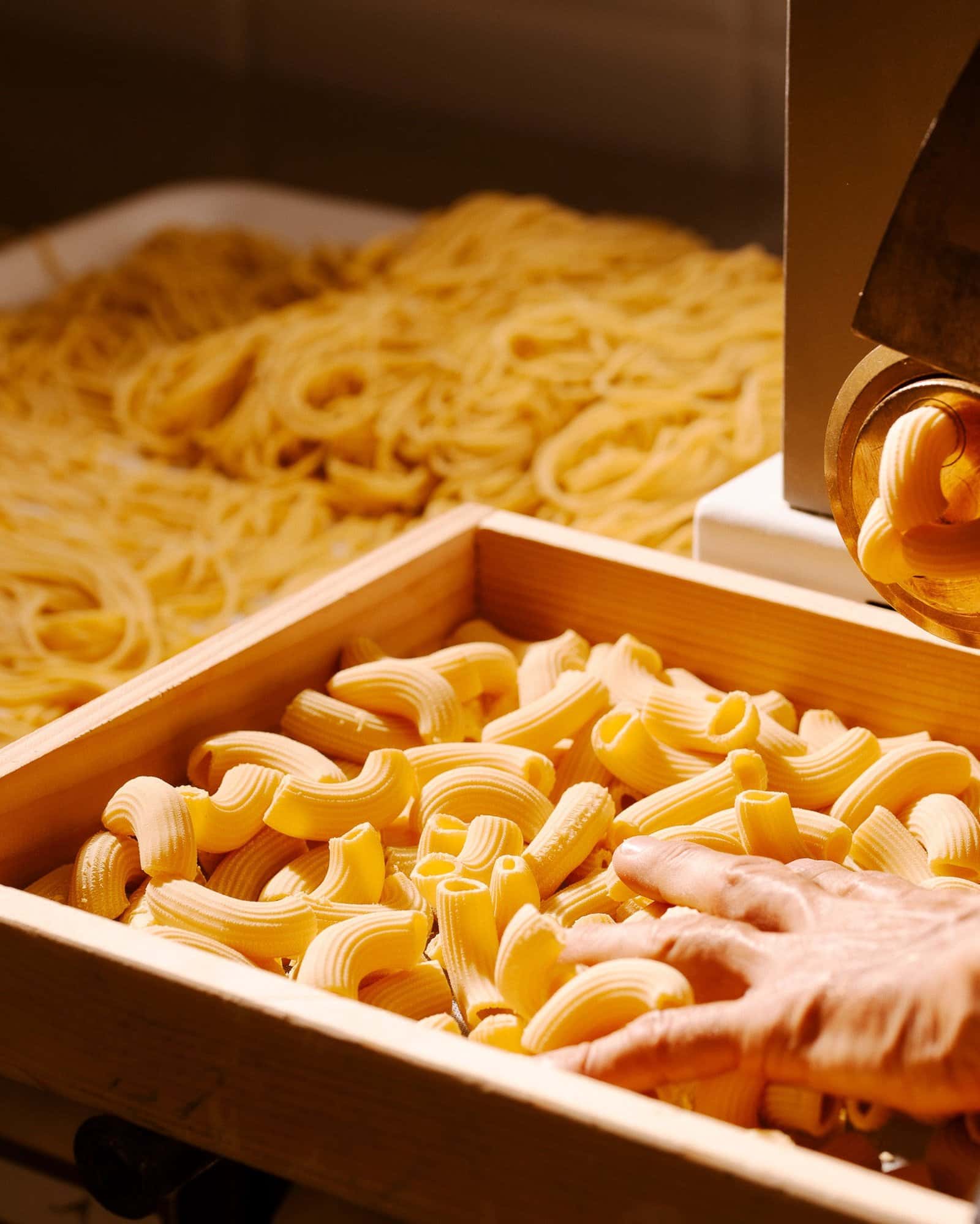 Pastamore Trastevere - Ristorante a Roma