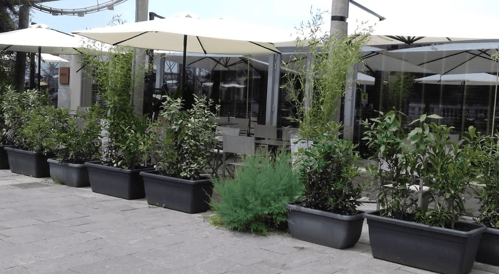 Ostro - Ristorante a Cecina