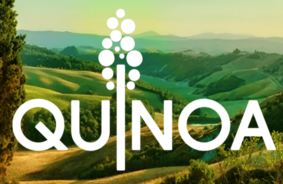 Quinoa - Ristorante a Firenze