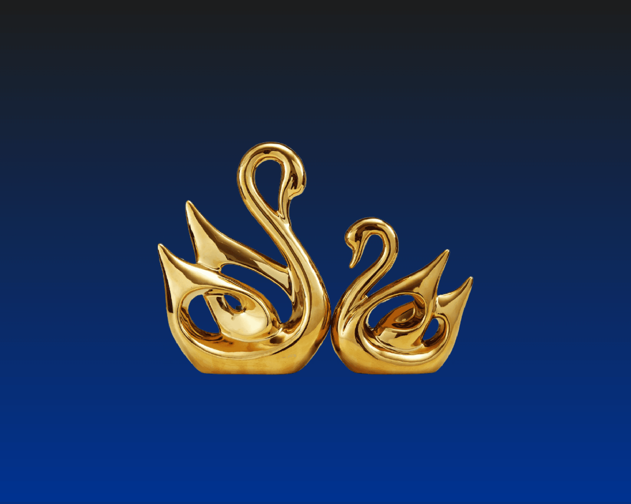 Il Cigno di Bronzo - Ristorante a Arzignano